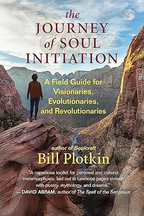 The Journey of Soul Initiation: A Field Guide for Visionaries, Evolutionaries, and Revolutionaries - Epub + Converted Pdf